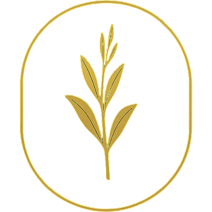 Salvia Noire